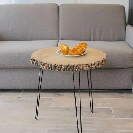 Studio Barcelo Face A La Nature Enchastrayes