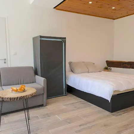 Studio Barcelo Face A La Nature Enchastrayes